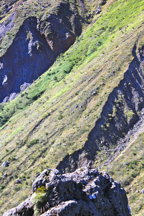 a0248459_1618494.jpg