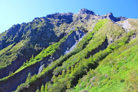 a0248459_1619484.jpg