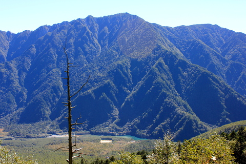 a0248459_16234482.jpg