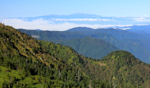 a0248459_1628397.jpg