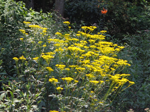 b0061261_23341740.jpg