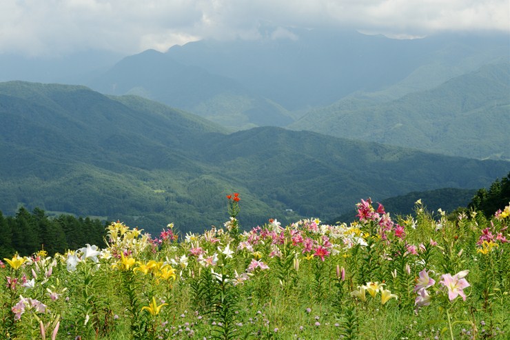 f0222161_12555644.jpg
