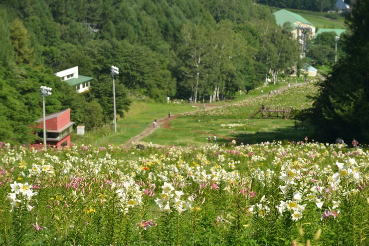 f0222161_1256890.jpg