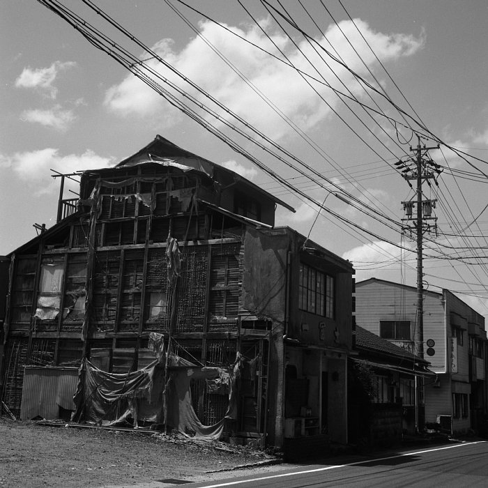 b0175964_2022548.jpg