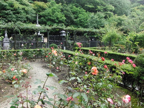 c0127366_754193.jpg