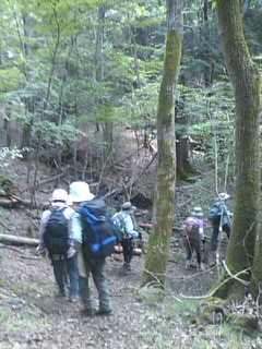 f0061067_15343936.jpg