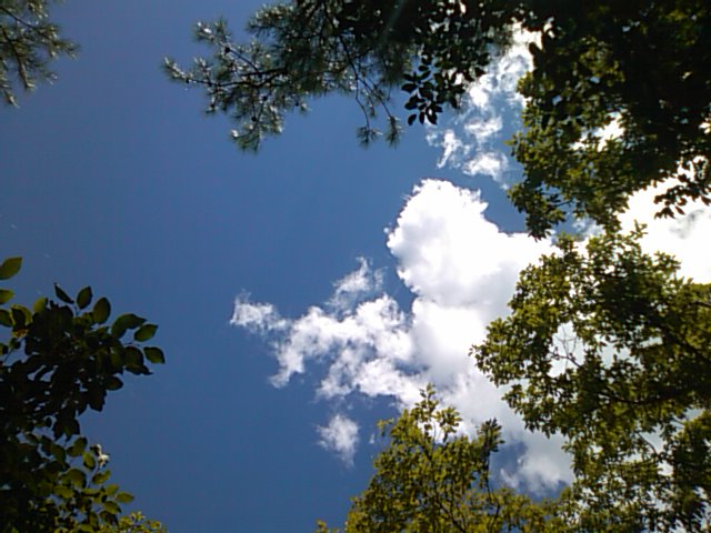 f0061067_15343954.jpg