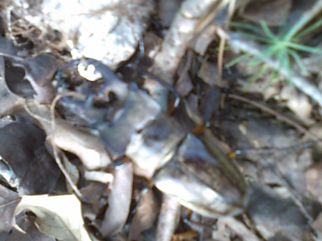 f0061067_15343966.jpg