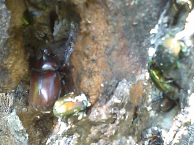 f0061067_15343974.jpg