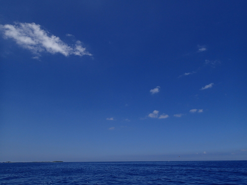 b0138768_1510114.jpg