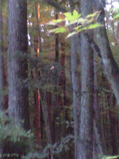 a0091680_23313875.jpg