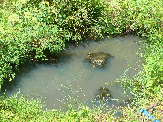 b0042882_16312320.jpg