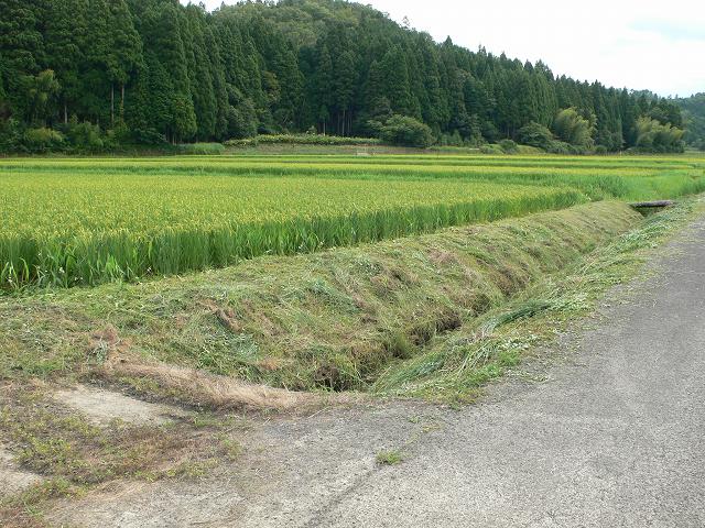b0042882_17173874.jpg