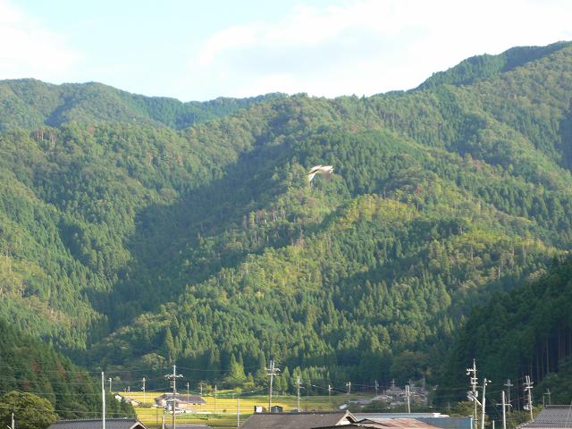 b0042882_1726555.jpg
