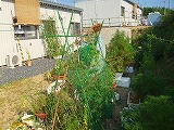 f0069883_692714.jpg