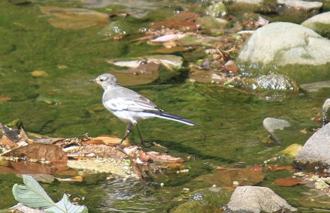 e0197884_2331636.jpg