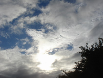 a0247585_23372827.jpg