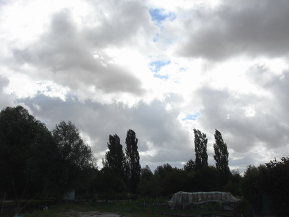 a0247585_23451364.jpg