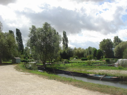 a0247585_23461875.jpg