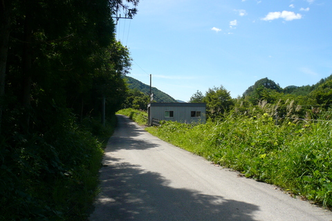 a0216086_3104919.jpg