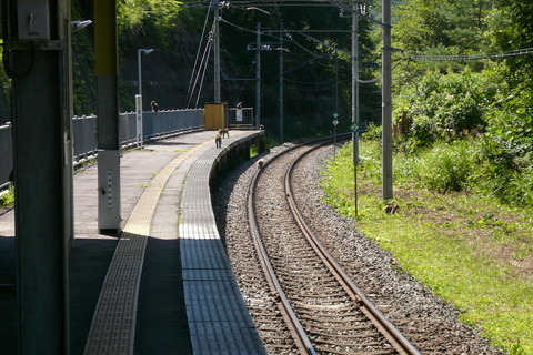 a0216086_3173738.jpg