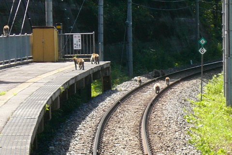 a0216086_318578.jpg