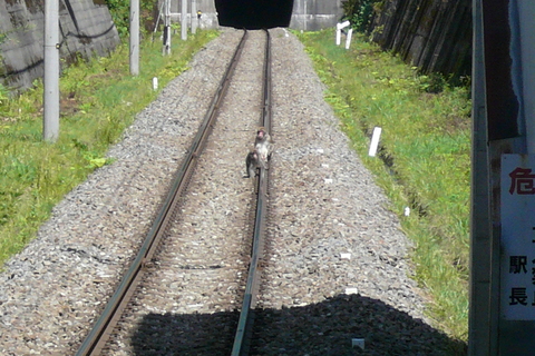 a0216086_3193238.jpg