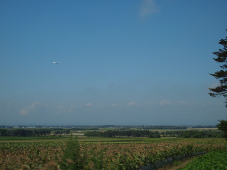 e0220187_1348460.jpg