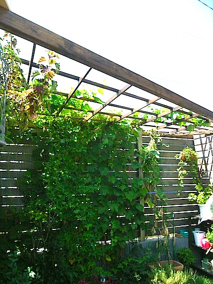 a0200299_15393052.jpg