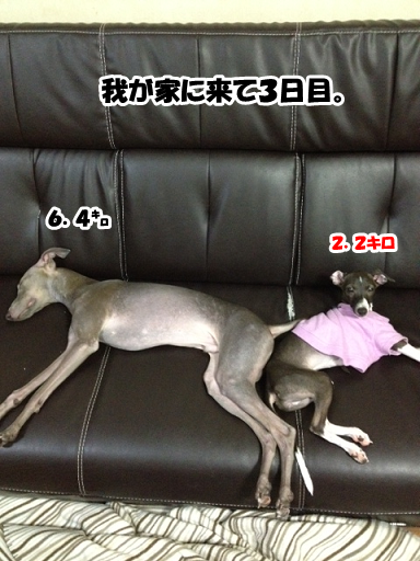 e0290901_10313320.png