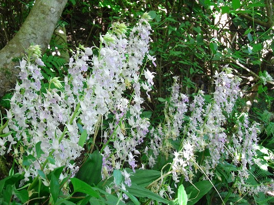 f0187402_20151871.jpg