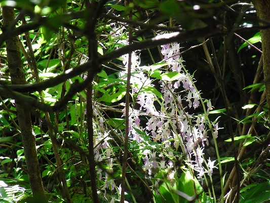 f0187402_20155450.jpg