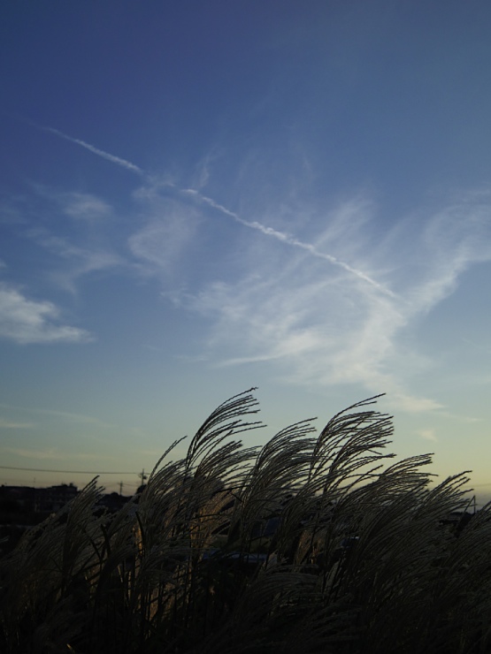 c0187503_21531761.jpg