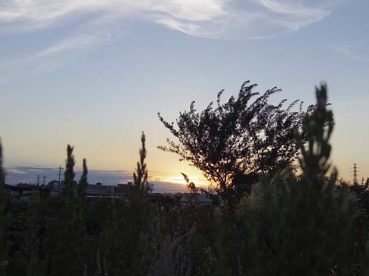 c0187503_21533672.jpg