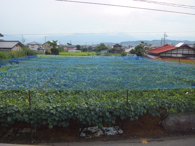 d0149306_9484640.jpg