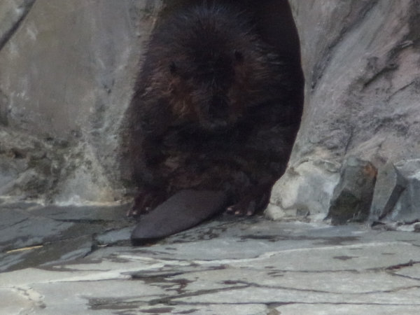 e0203009_21572423.jpg