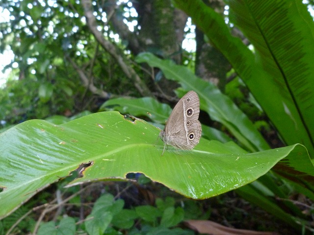 d0037110_1420919.jpg
