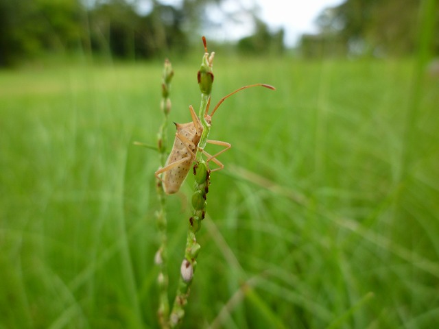 d0037110_14241981.jpg