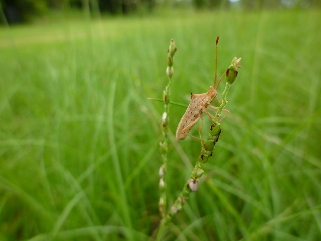 d0037110_14243471.jpg