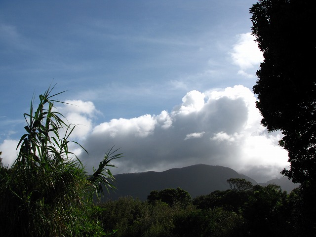 d0037110_14293015.jpg