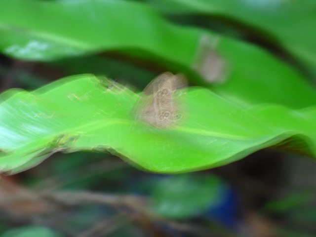 d0037110_14295955.jpg