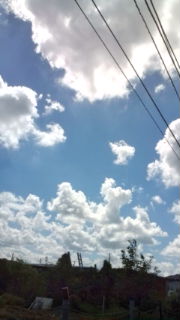 e0138314_1333673.jpg