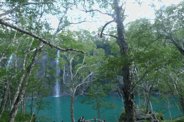 e0157816_649528.gif