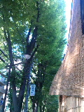 e0112619_2335310.jpg
