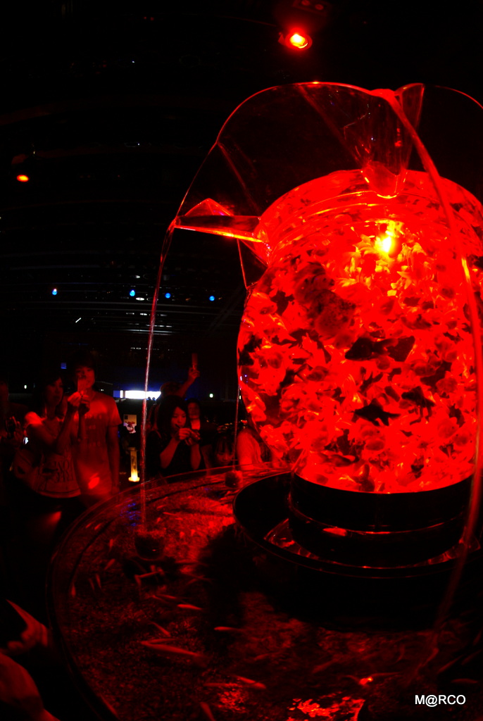a0240721_20373322.jpg