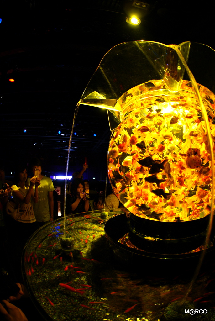 a0240721_2038035.jpg