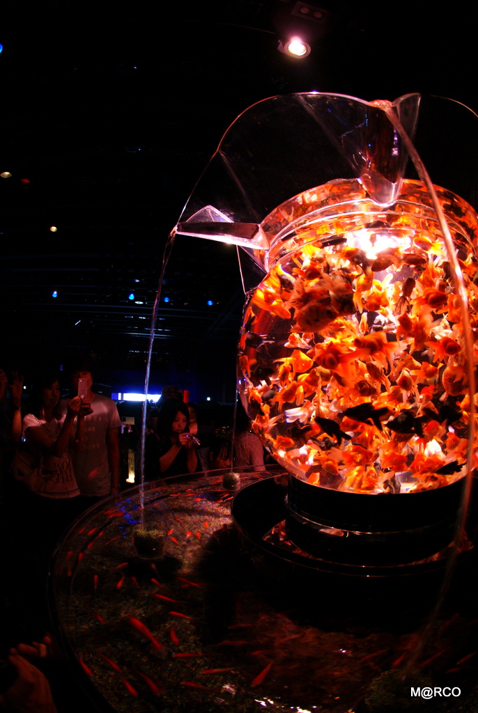 a0240721_2038158.jpg