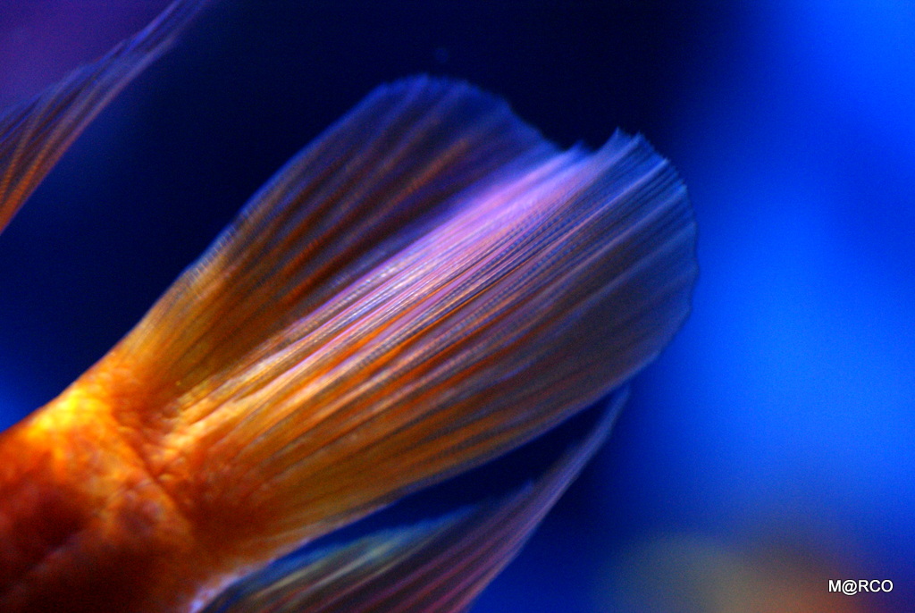 a0240721_20404381.jpg