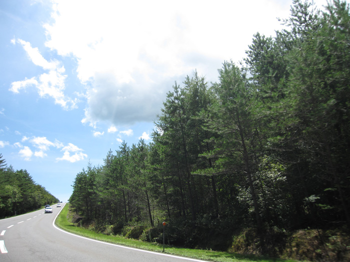 e0244621_225678.jpg