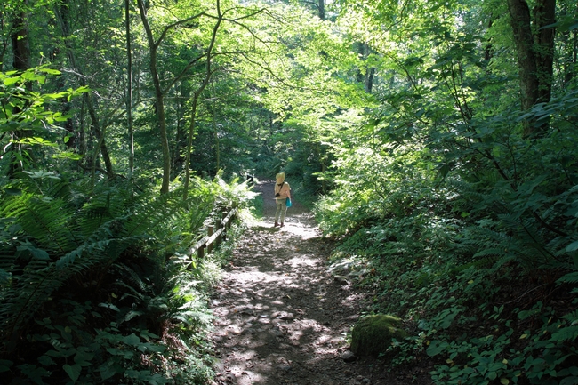 f0178427_1844514.jpg